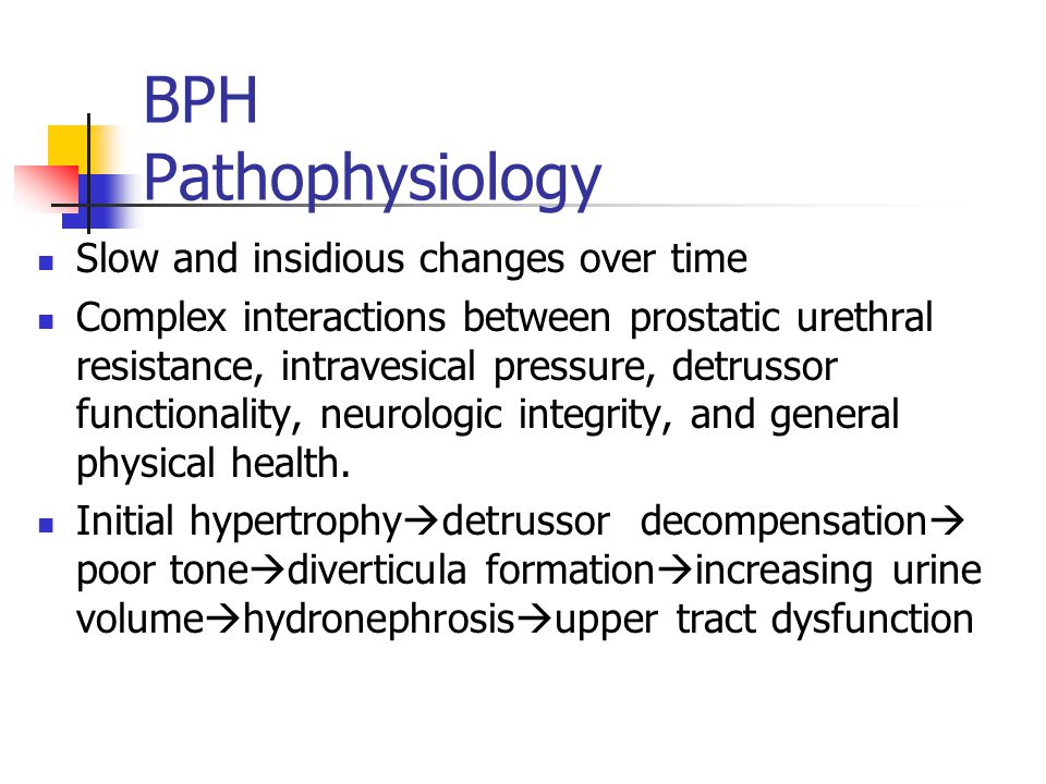 benign prostatic hyperplasia pathophysiology ppt