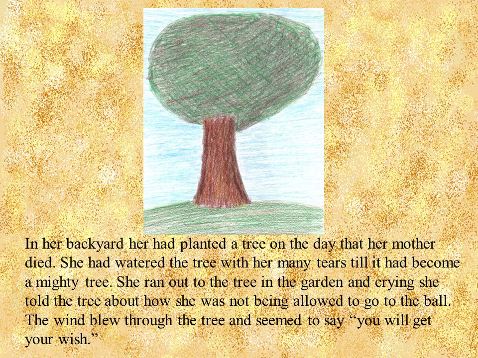 In her backyard her had planted a tree on the day that her mother died