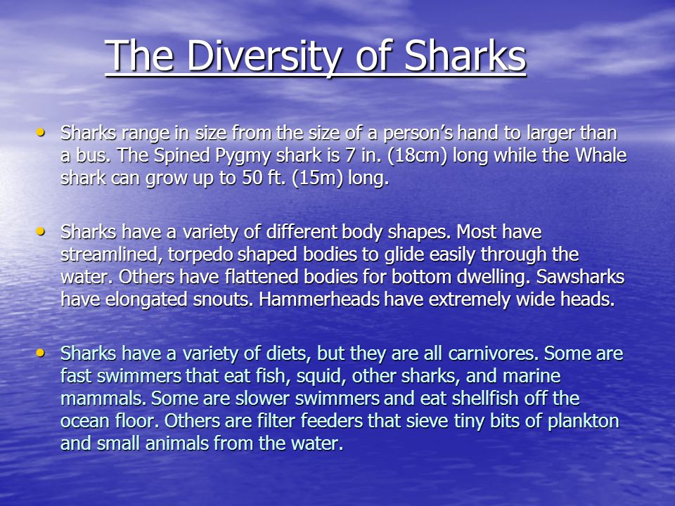 Lecture 1: SHARKS Corresponding Reading Material - ppt video online