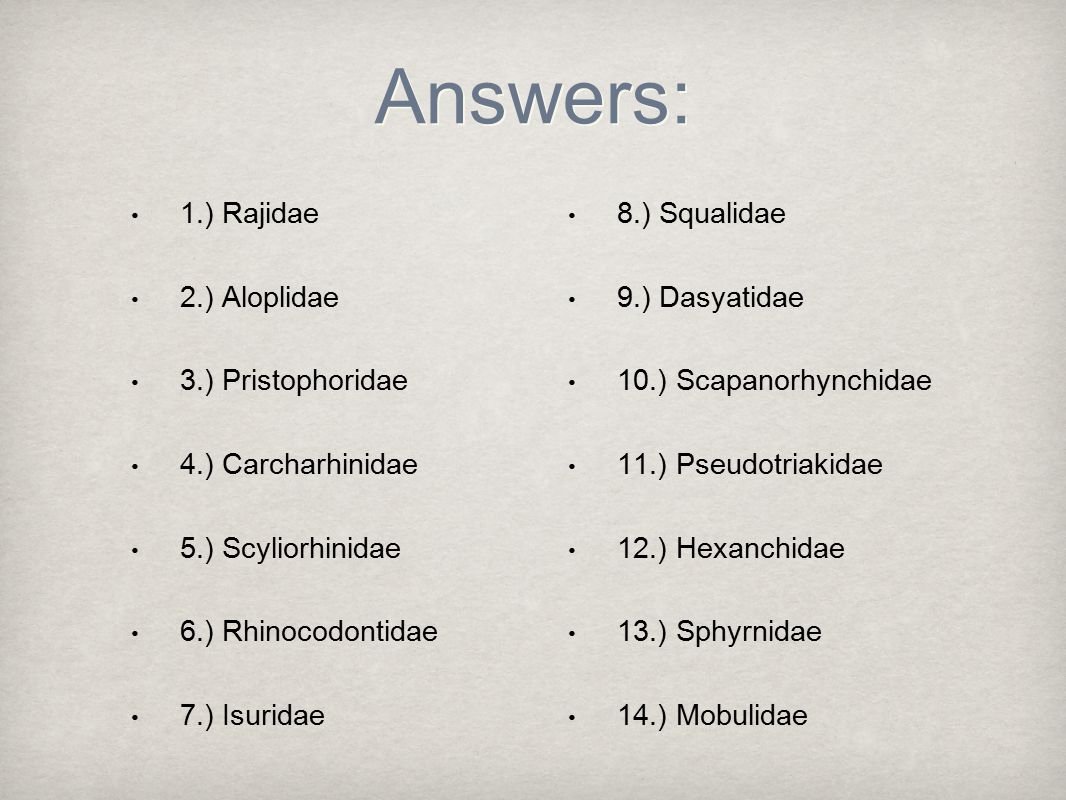 Answers: 1.) Rajidae 2.) Aloplidae 3.) Pristophoridae