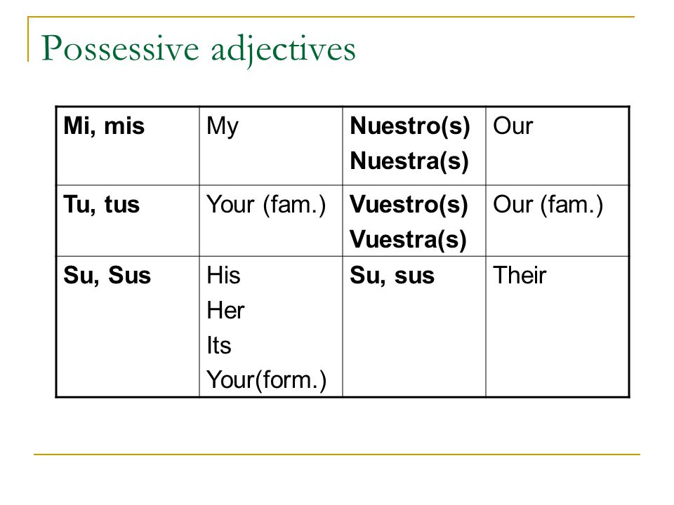 Possessive adjectives