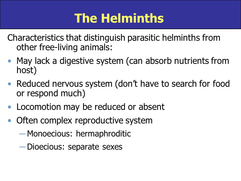 parasitic helminths characteristics