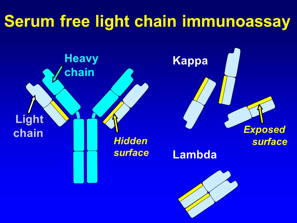 International consensus on serum free light chain analysis - ppt download