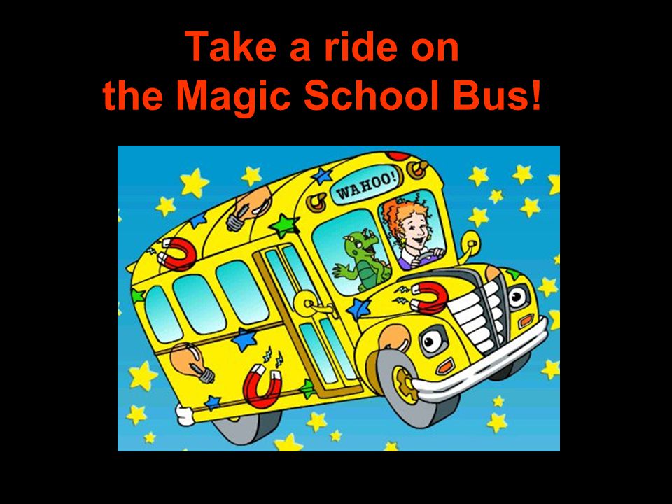 Take a ride on the Magic School Bus!