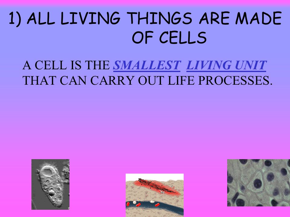 non living things that are composed of cells