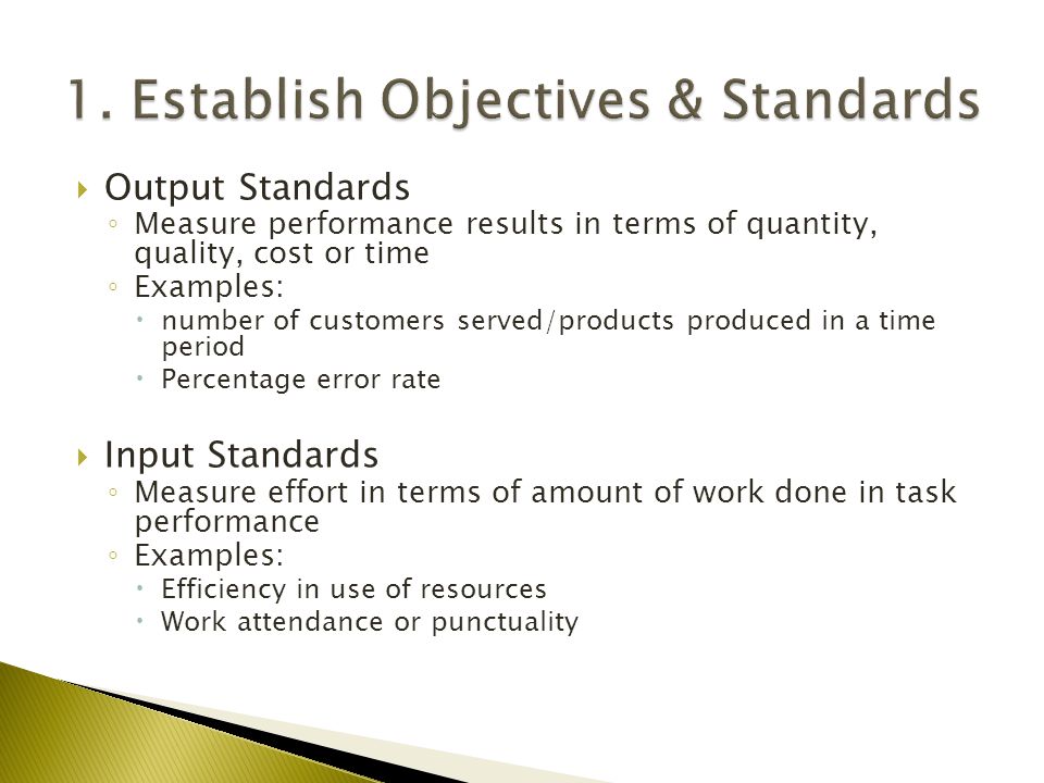 1. Establish Objectives & Standards