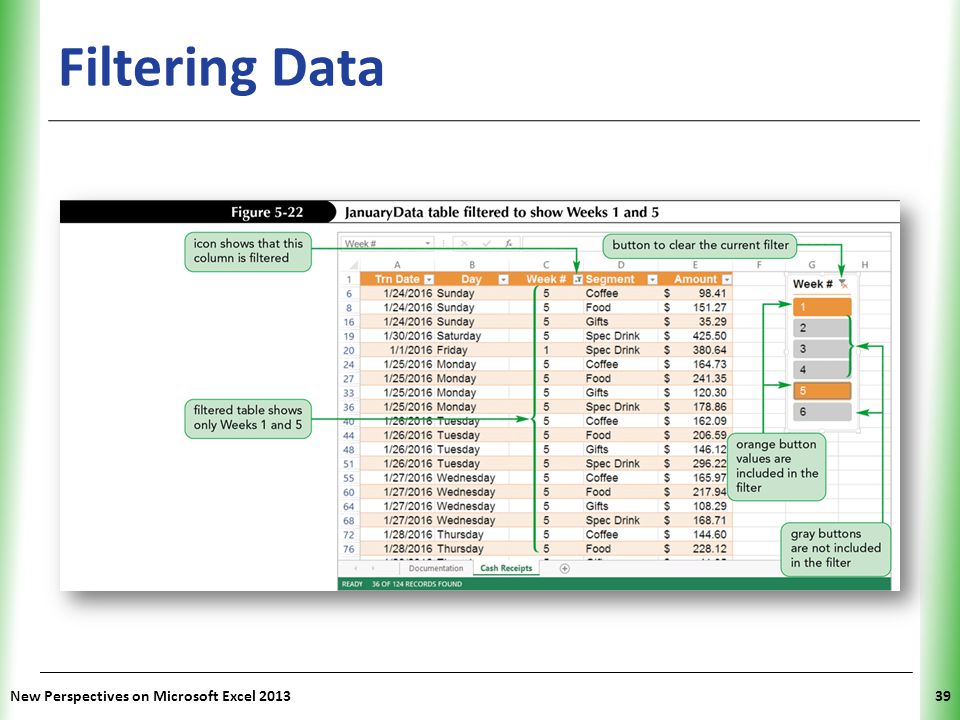 Filtering Data New Perspectives on Microsoft Excel 2013