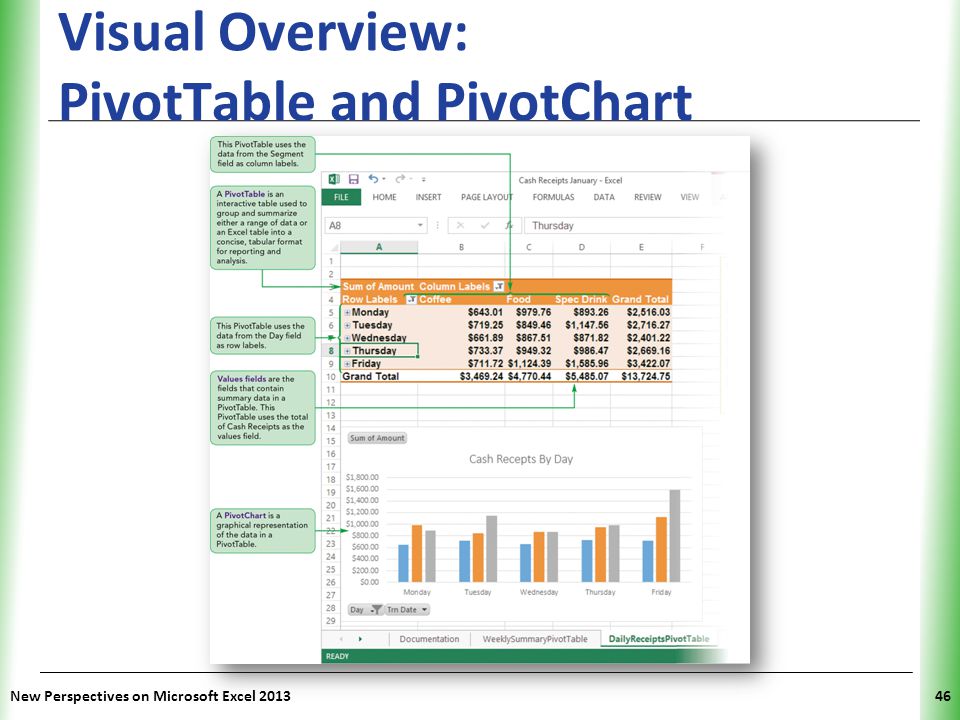 Visual Overview: PivotTable and PivotChart