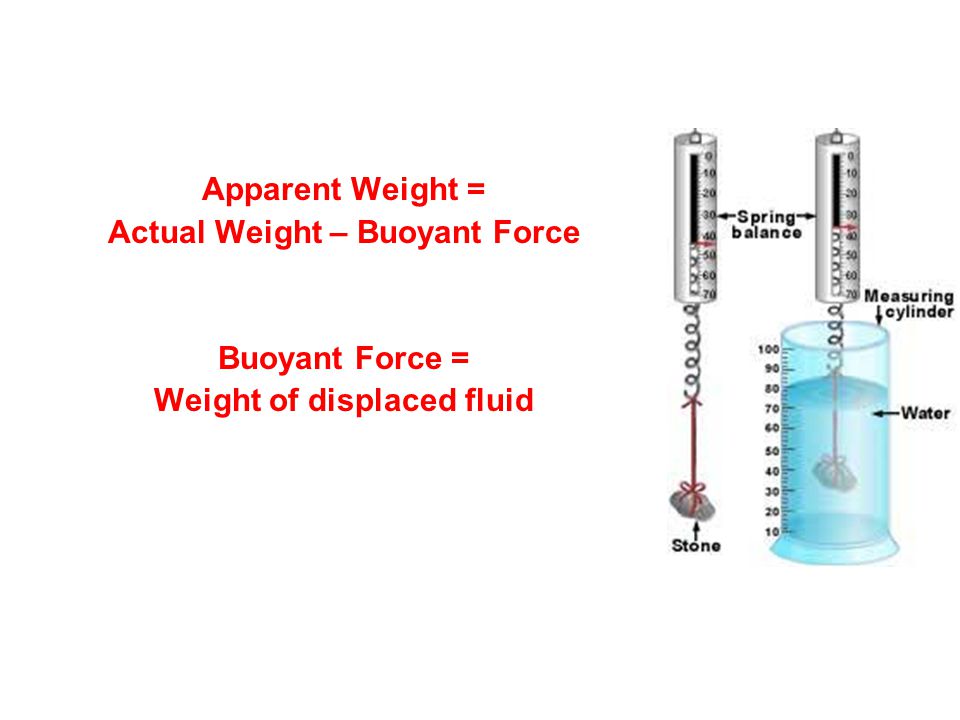 Actual Weight – Buoyant Force Weight of displaced fluid