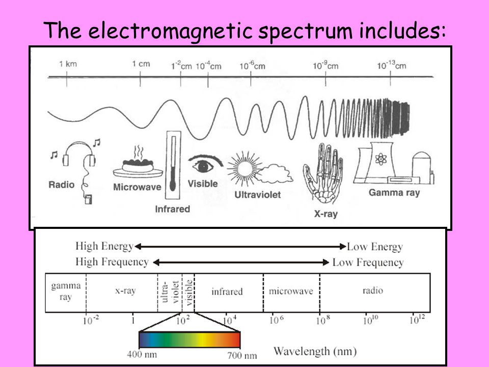 The electromagnetic spectrum includes: