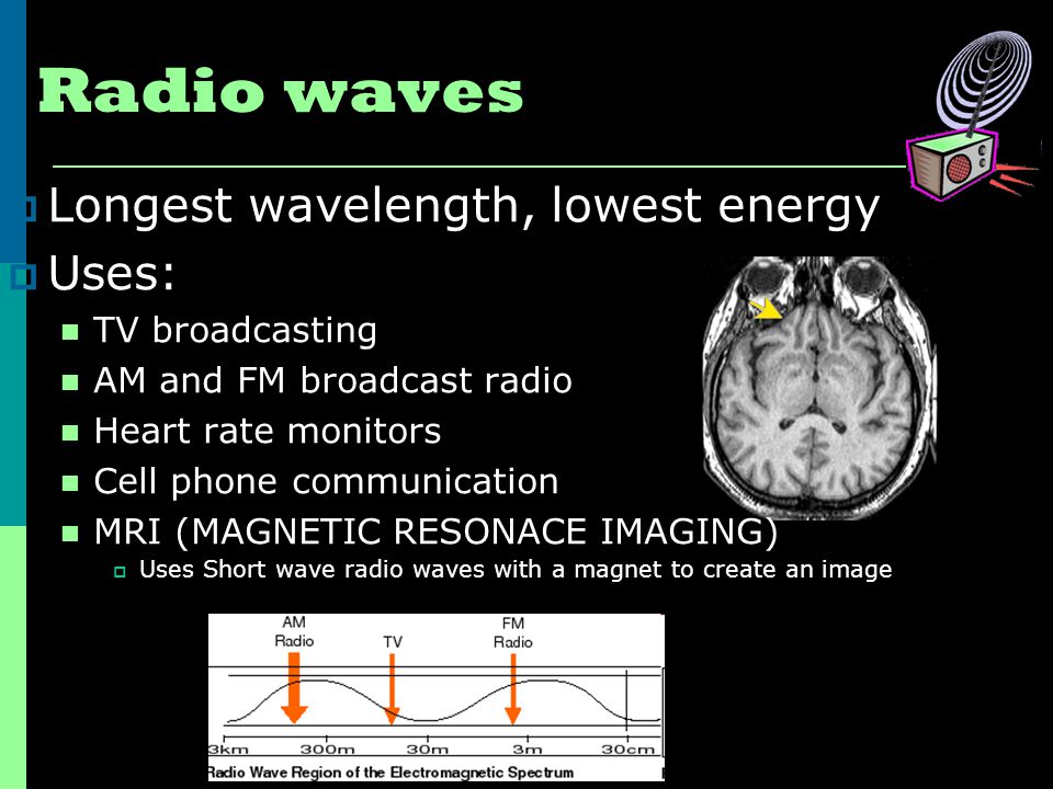Radio waves Longest wavelength, lowest energy Uses: TV broadcasting