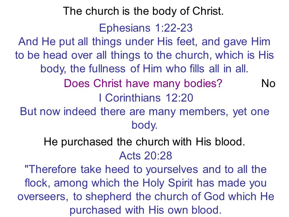The church is the body of Christ.