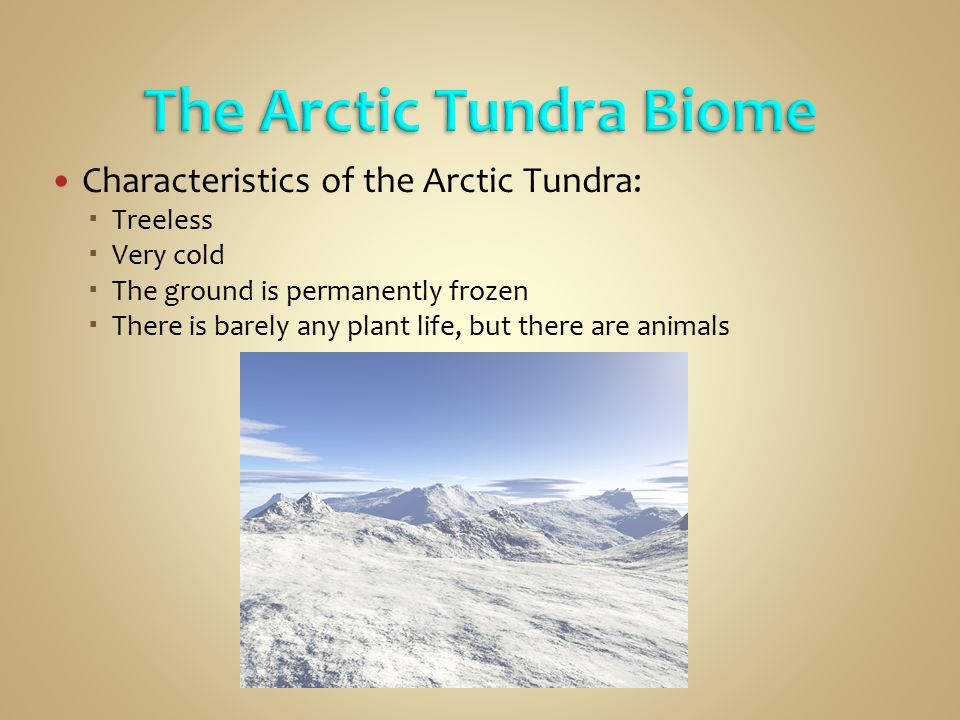 The Arctic Tundra Biome