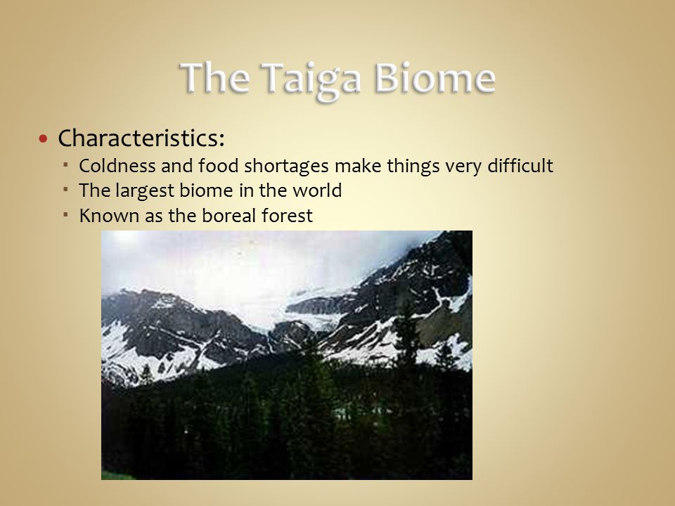 The Taiga Biome Characteristics: