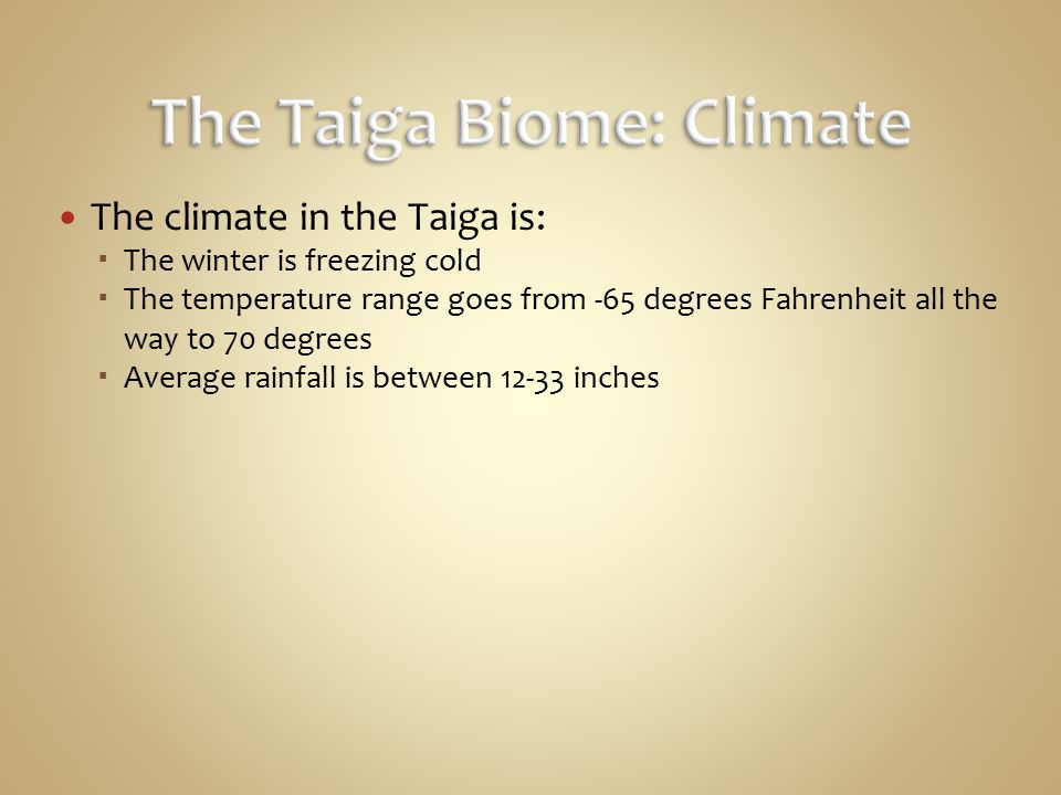 The Taiga Biome: Climate