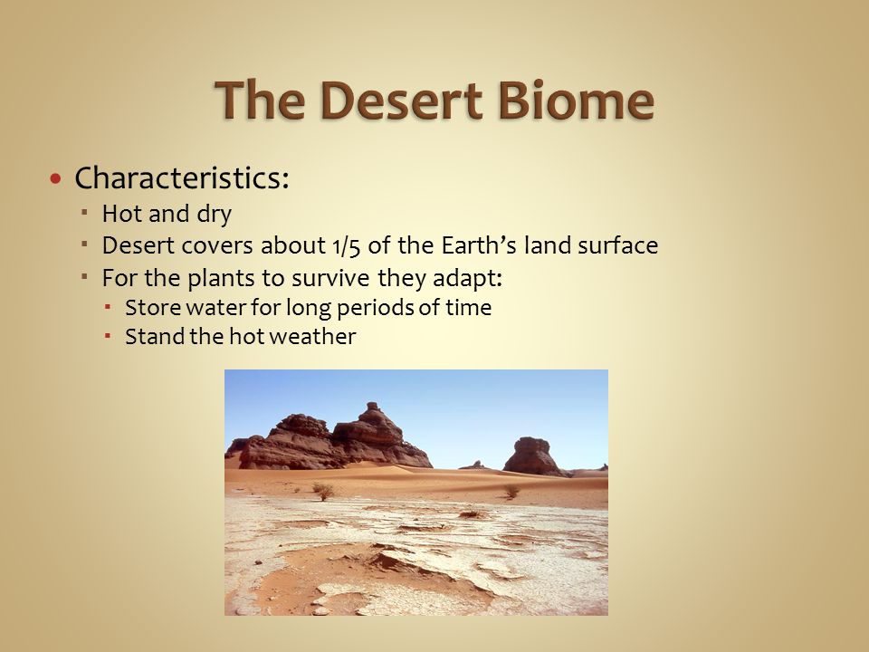 The Desert Biome Characteristics: Hot and dry