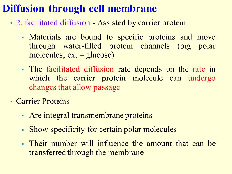 Diffusion through cell membrane