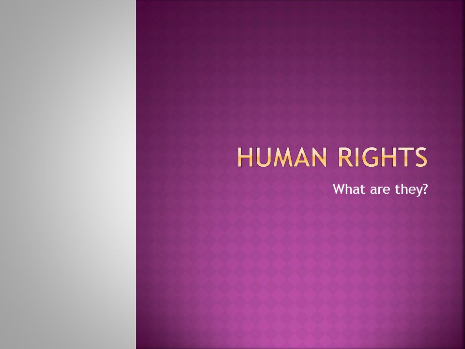 Human Rights What are they