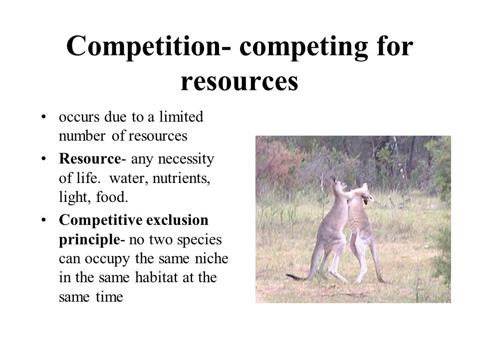 Competition- competing for resources