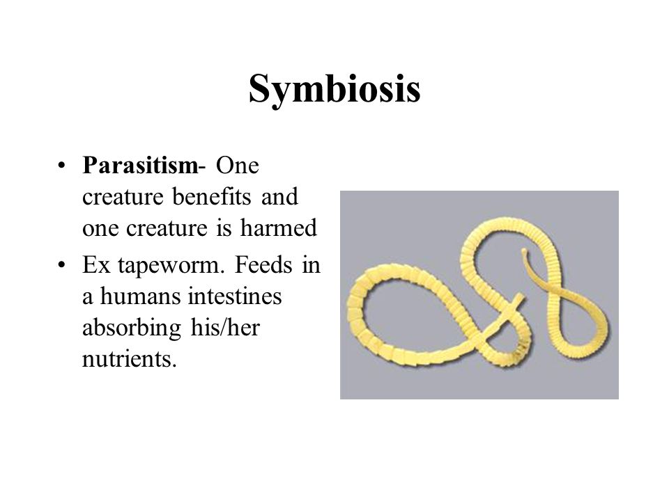 Symbiosis Parasitism- One creature benefits and one creature is harmed