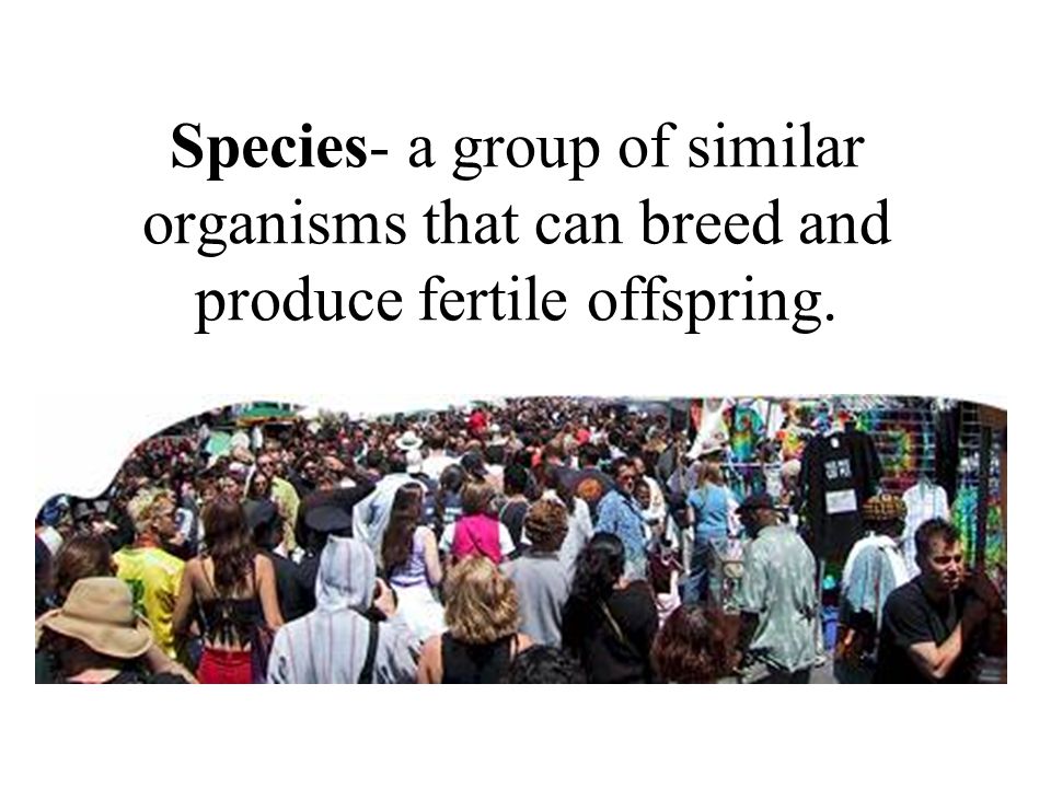 Species- a group of similar organisms that can breed and produce fertile offspring.