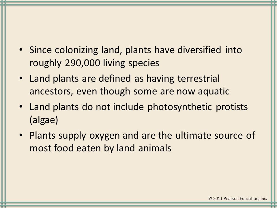 BIF 26: The Colonization of Land by Plants and Fungi - ppt download