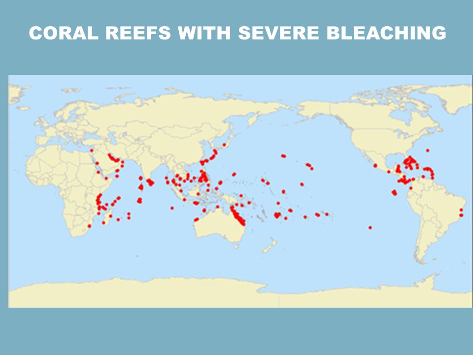 Coral Reefs with Severe Bleaching
