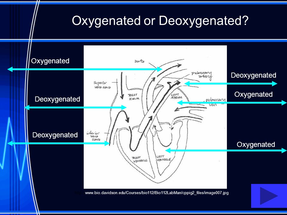 Oxygenated or Deoxygenated