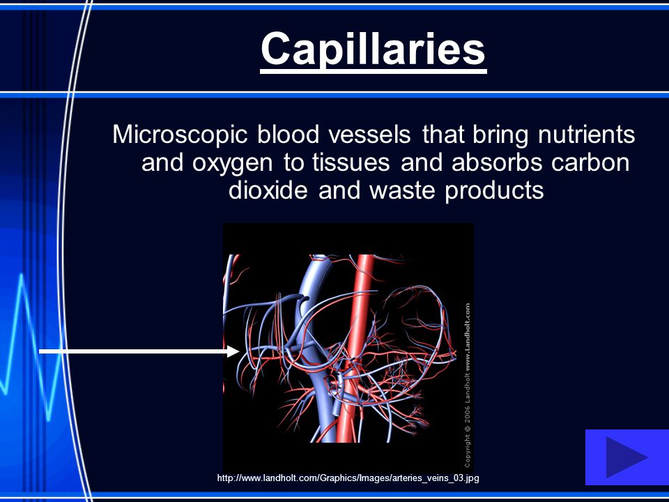 Capillaries Microscopic blood vessels that bring nutrients and oxygen to tissues and absorbs carbon dioxide and waste products.