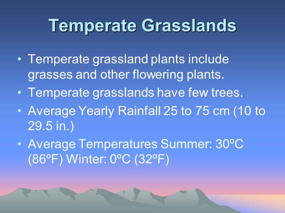 Temperate Grasslands Temperate grassland plants include grasses and other flowering plants. Temperate grasslands have few trees.