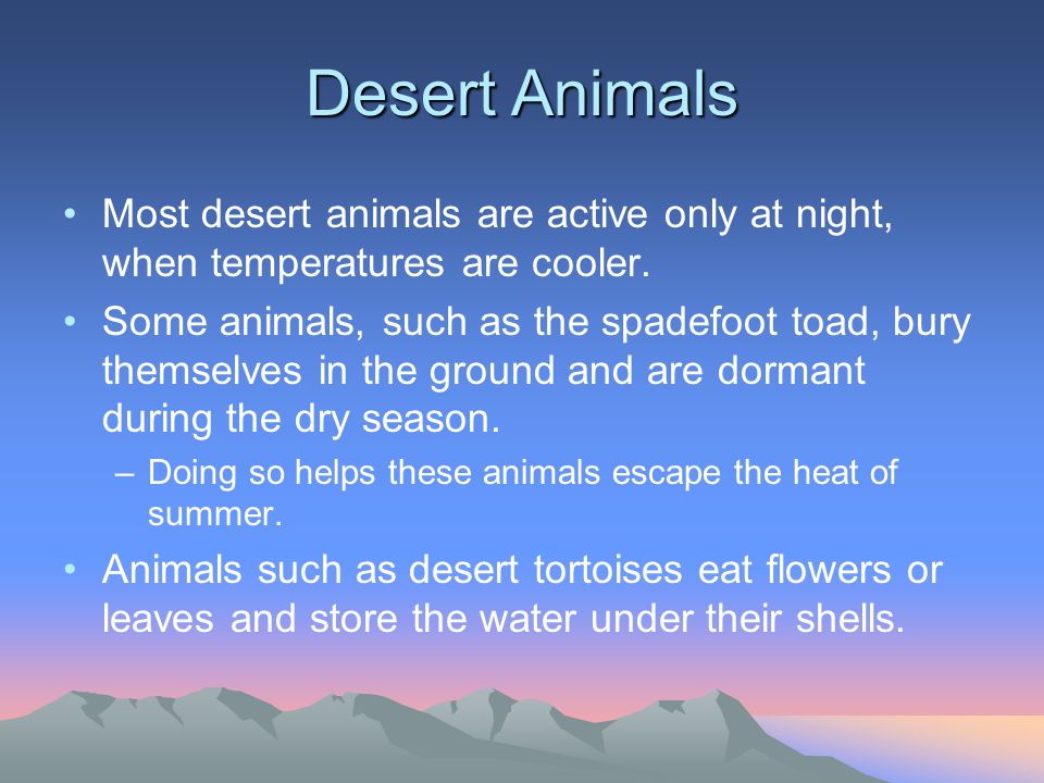 Desert Animals Most desert animals are active only at night, when temperatures are cooler.