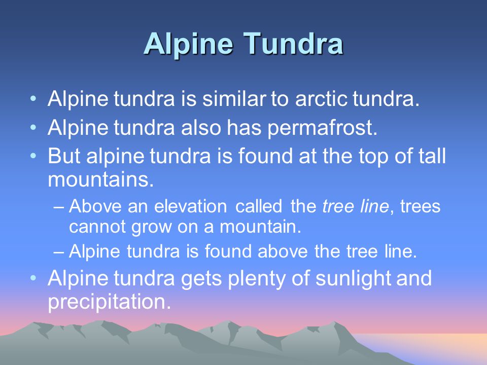 Alpine Tundra Alpine tundra is similar to arctic tundra.