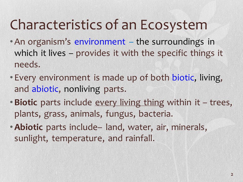 Characteristics of an Ecosystem