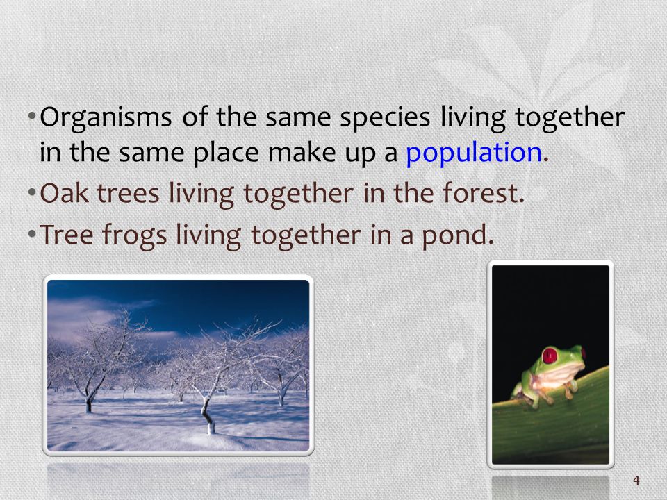 Organisms of the same species living together in the same place make up a population.