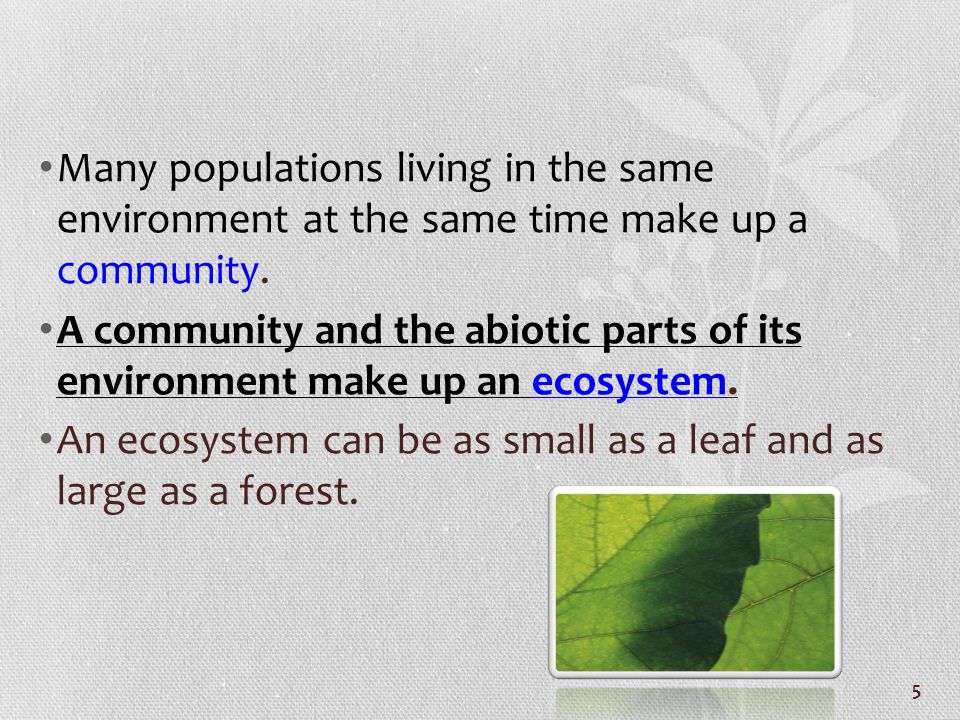 Many populations living in the same environment at the same time make up a community.