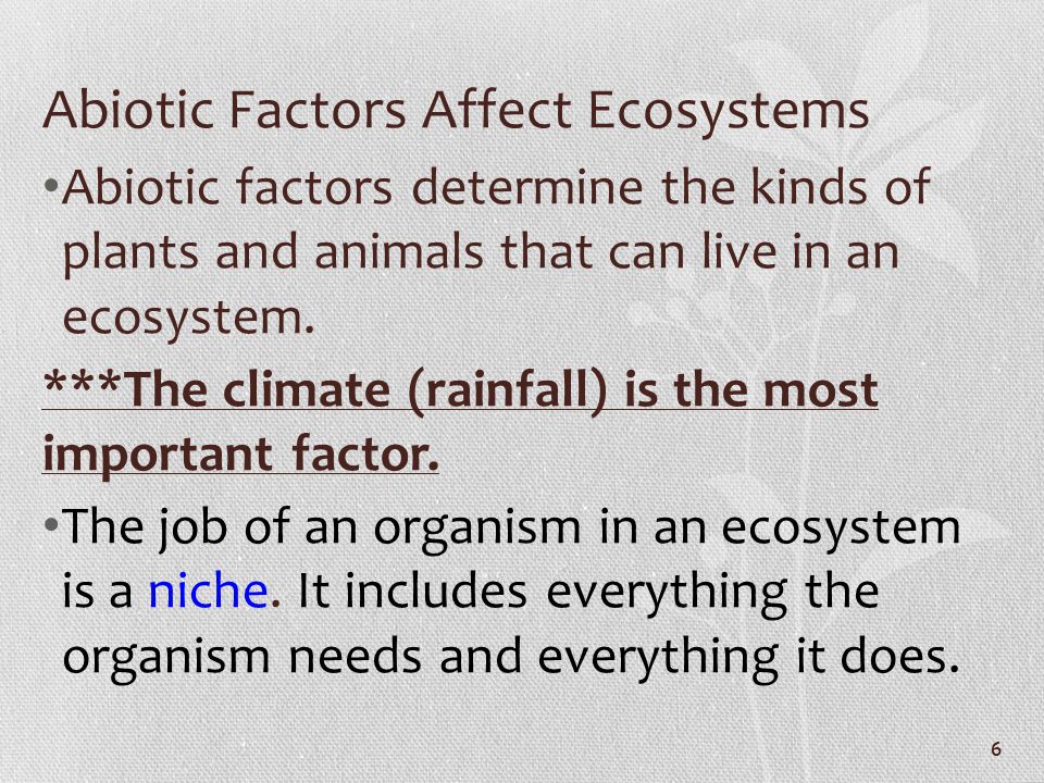 Abiotic Factors Affect Ecosystems