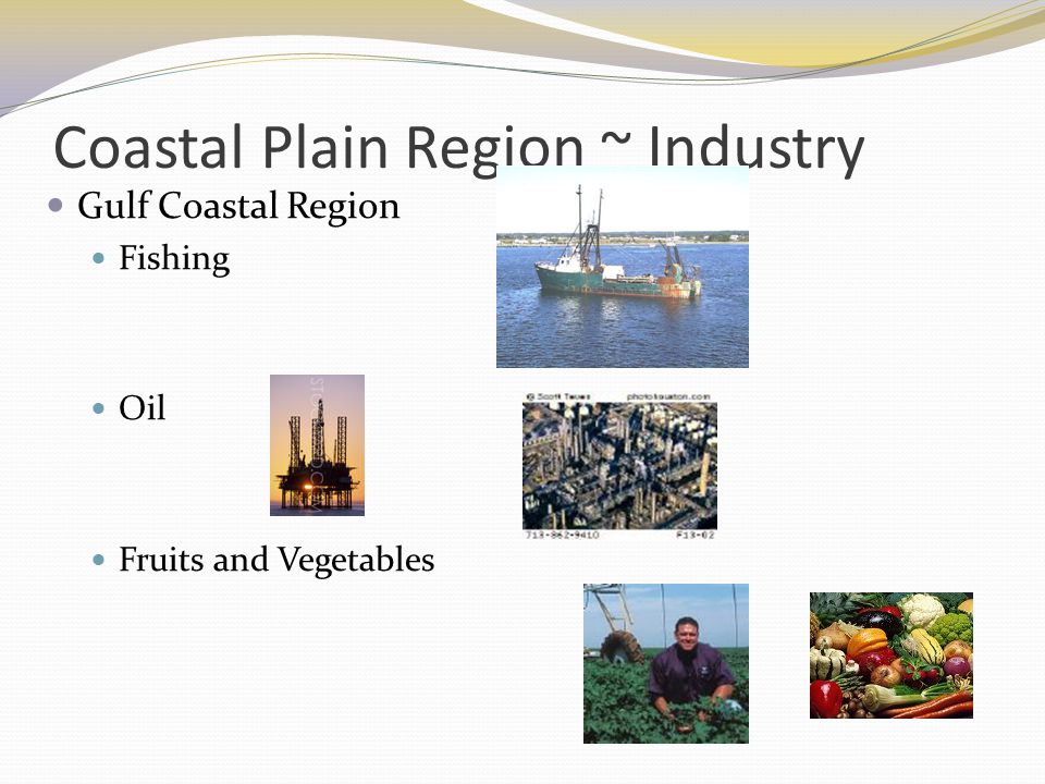 importance of coastal plains