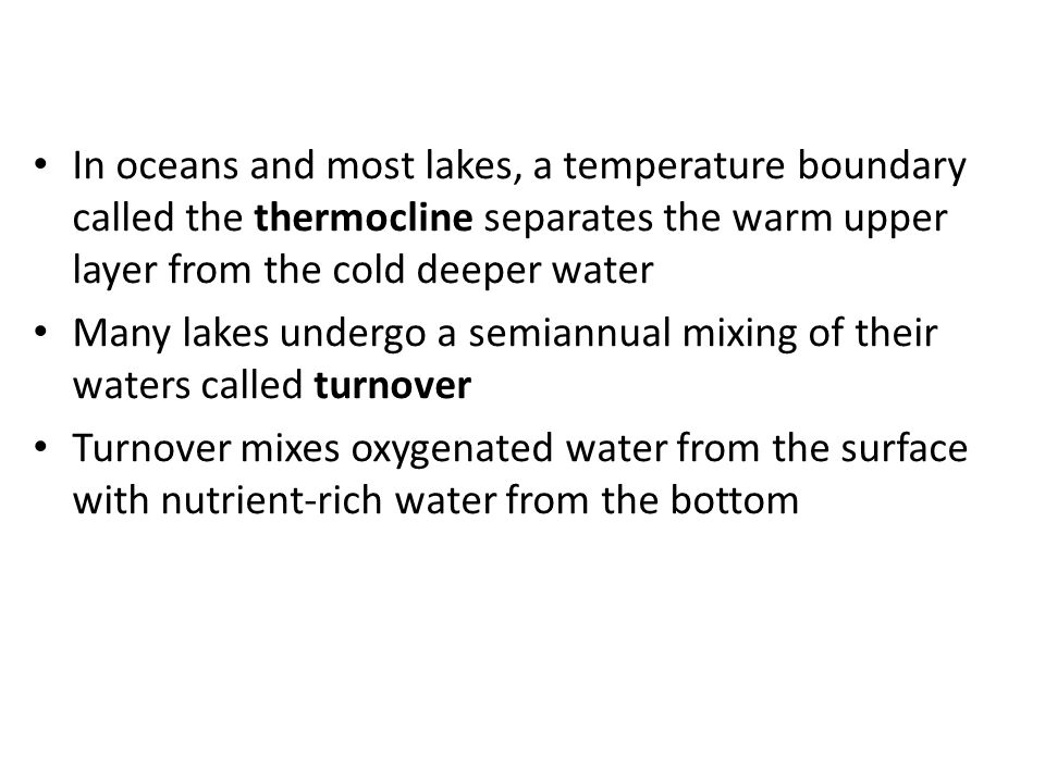 In oceans and most lakes, a temperature boundary called the thermocline separates the warm upper layer from the cold deeper water