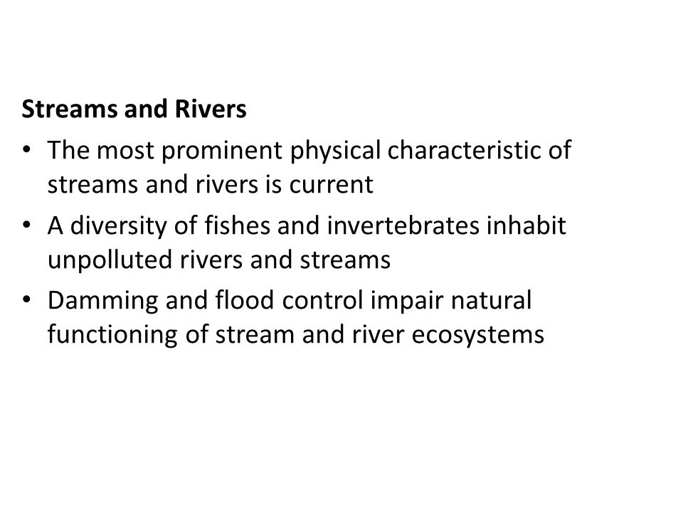 Streams and Rivers The most prominent physical characteristic of streams and rivers is current.