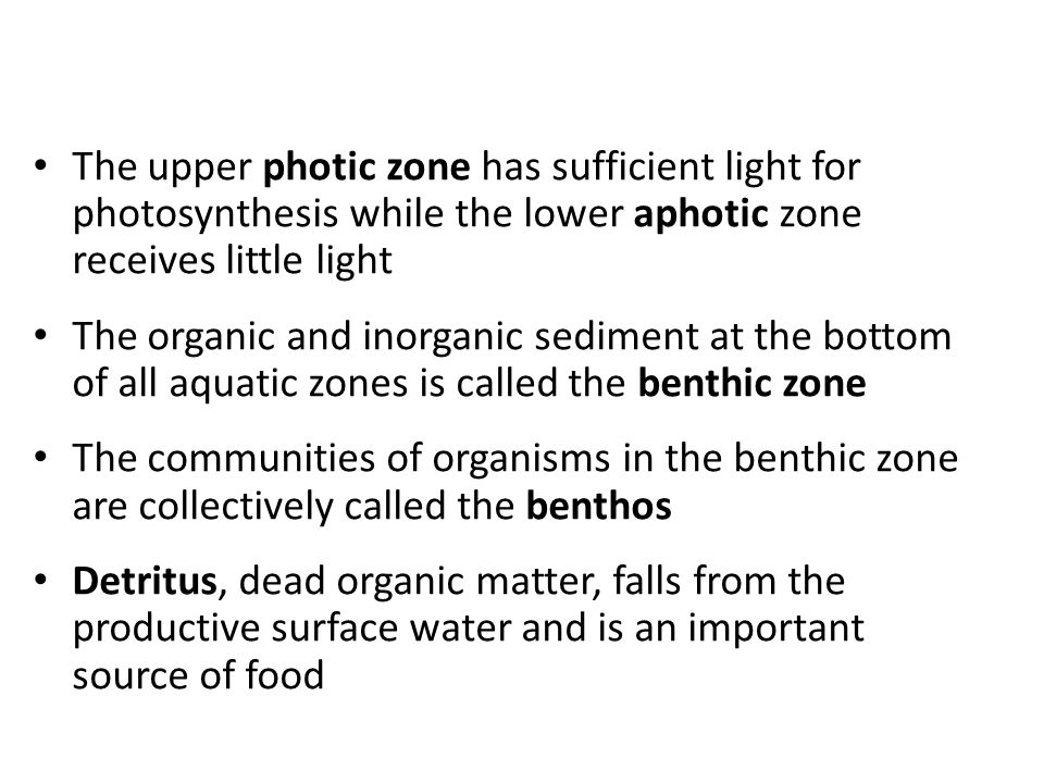 The upper photic zone has sufficient light for photosynthesis while the lower aphotic zone receives little light