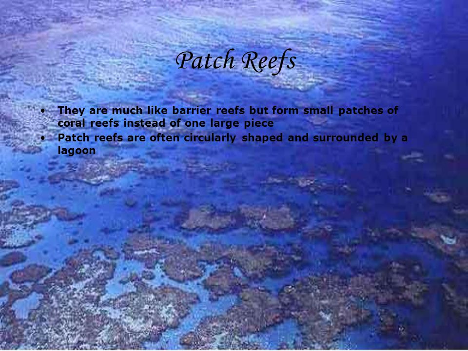 Patch Reefs They are much like barrier reefs but form small patches of coral reefs instead of one large piece.