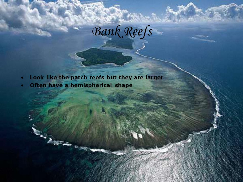 Bank Reefs Look like the patch reefs but they are larger