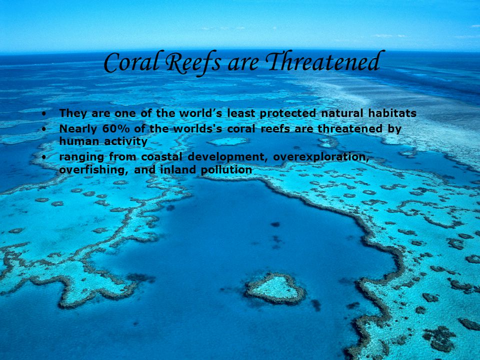 Coral Reefs are Threatened