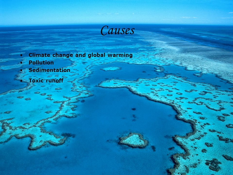 Causes Climate change and global warming Pollution Sedimentation