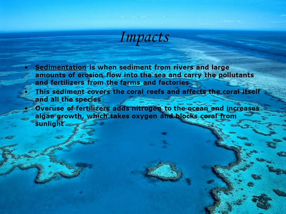 Impacts