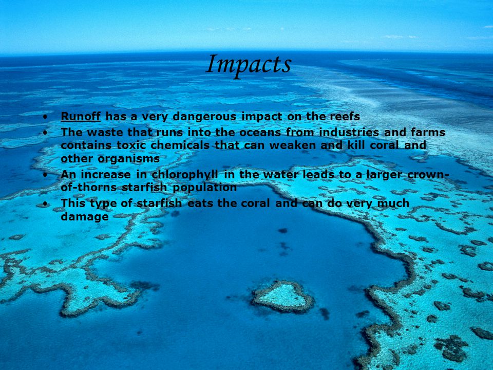 Impacts Runoff has a very dangerous impact on the reefs