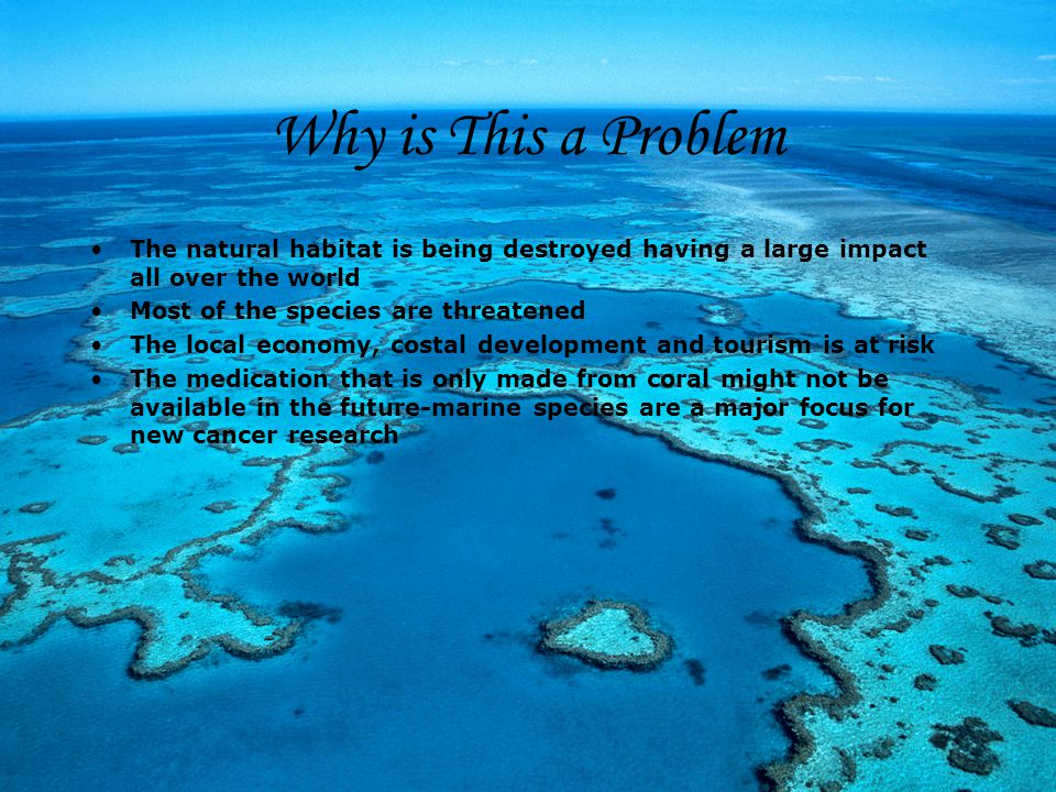 Why is This a Problem The natural habitat is being destroyed having a large impact all over the world.