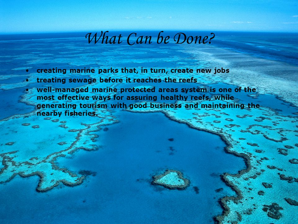 What Can be Done creating marine parks that, in turn, create new jobs