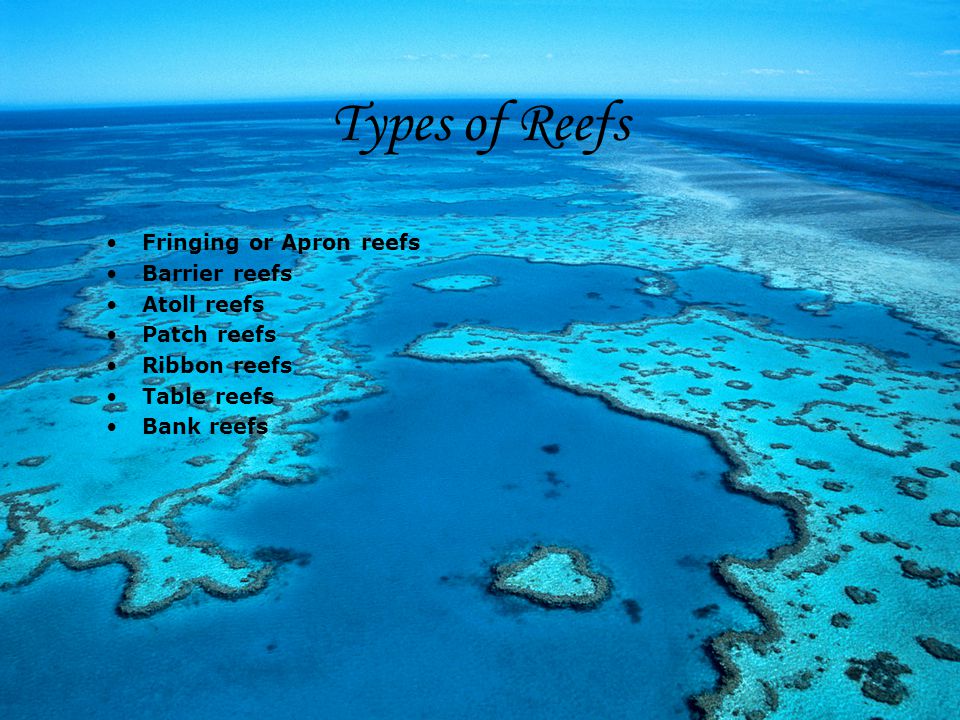 Types of Reefs Fringing or Apron reefs Barrier reefs Atoll reefs