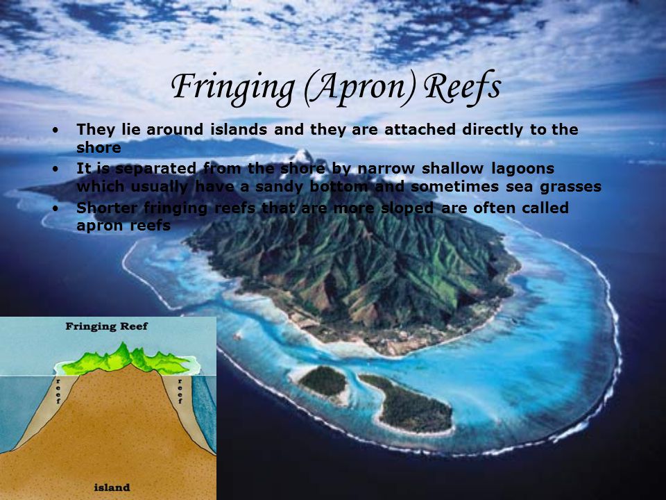 Fringing (Apron) Reefs